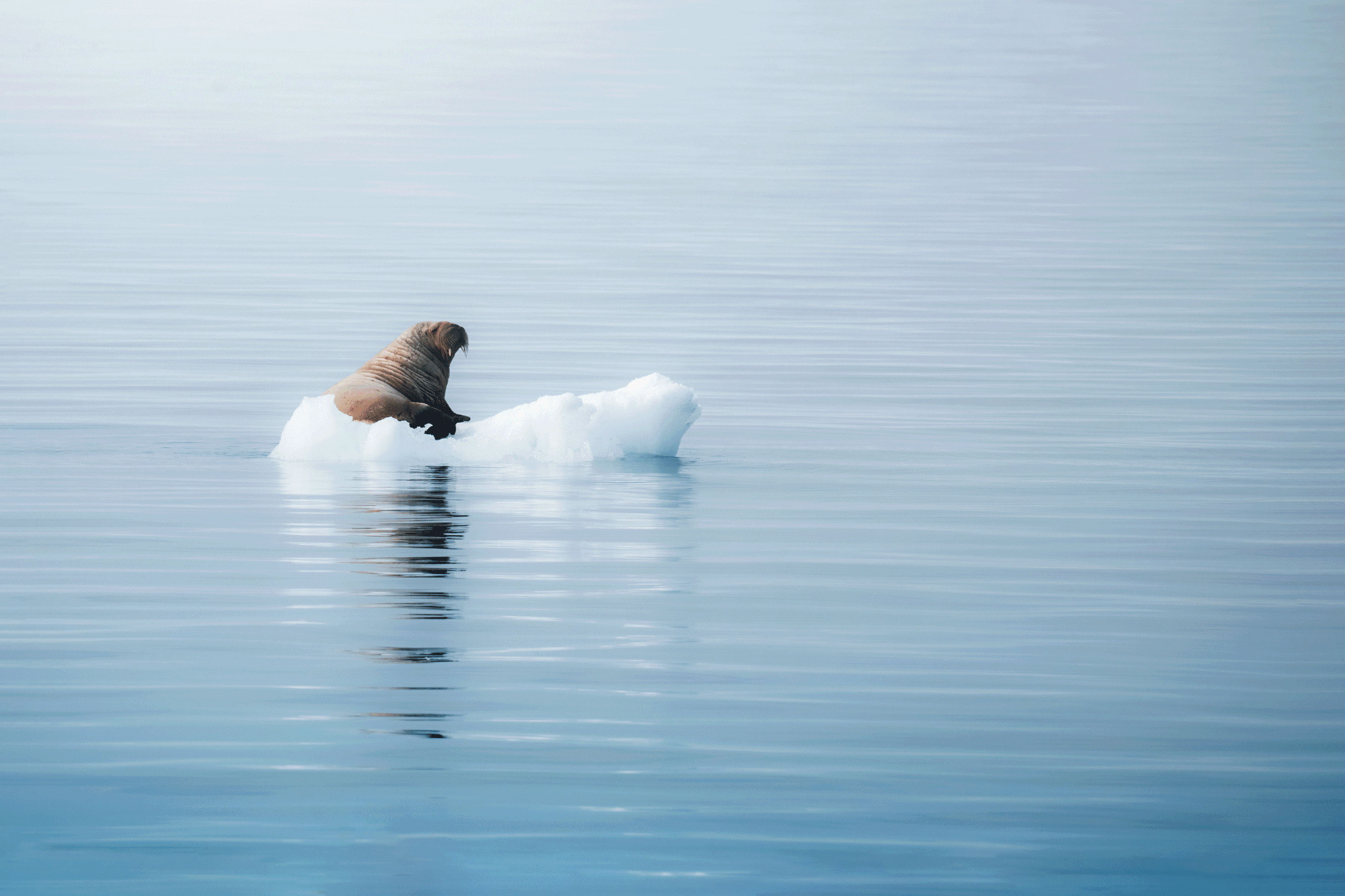 Using negative space in photo by Giancarlo Gallinoro Secret Atlas